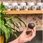Shelly H&T Αισθητήρας Θερμοκρασίας & Υγρασίας Smart Wi-Fi (μαύρο χρώμα)